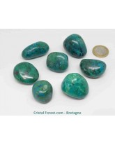 Chrysocolle