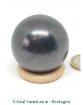 Shungite