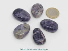 Fluorite (Fluorine) Lilas 