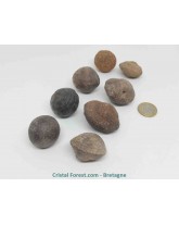 Moquis balls