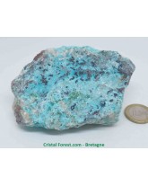 Chrysocolle 
