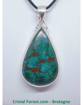 Chrysocolle