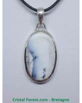 Agate dendrite