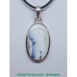 Agate dendrite