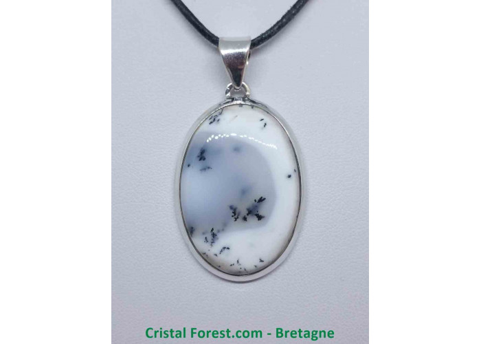 Agate dendrite