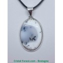 Agate dendrite