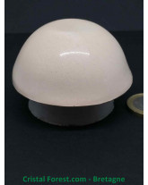 Protection WIFI - BOX