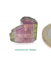 Tourmaline melon d'eau - Cristaux naturels Bruts & Gemmes 
