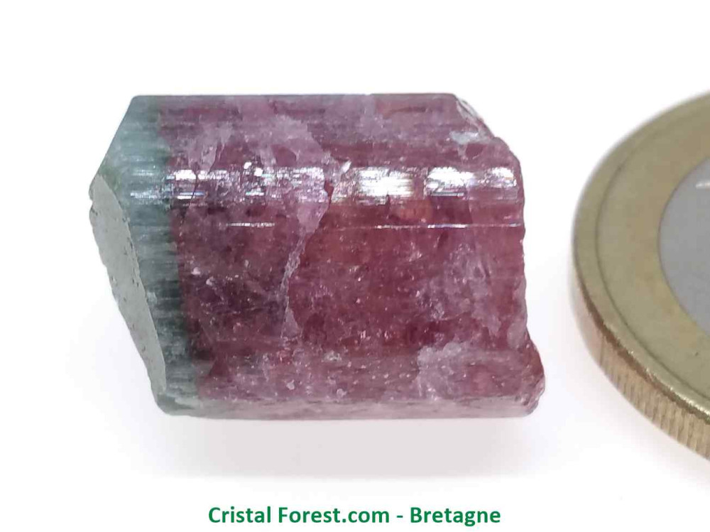 Tourmaline Melon d'eau Rose / Verte  - Pierre Brute Gemme cristallisée