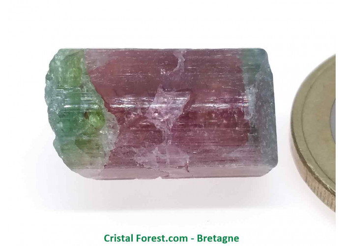 Tourmaline Melon d'eau Rose / Verte  - Pierre Brute Gemme cristallisée