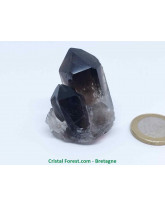 Quartz fumé - Gerbe Brute Cristallisée