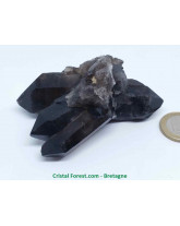 Quartz fumé - Gerbe Brute Cristallisée