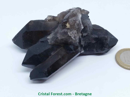 Quartz Fumé - Druse en Gerbe