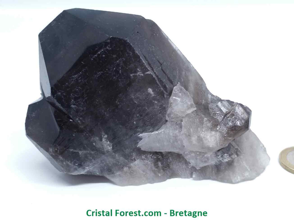 Quartz Fumé - Druse en Gerbe