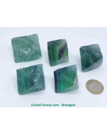 Fluorite brute "octaèdre" Jumbo 