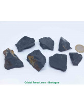 Shungite