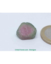 Tourmaline melon d'eau - Cristaux naturels Bruts & Gemmes 