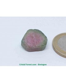 Tourmaline melon d'eau - Cristaux naturels Bruts & Gemmes 