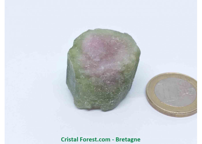 Tourmaline melon d'eau - Cristaux naturels Bruts & Gemmes  - AA : 2,2 x 2,7 x 2,5 cm / 30,8gr