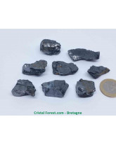 Shungite argentée - Pierres brutes