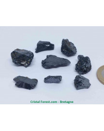 Shungite argentée - Pierres brutes