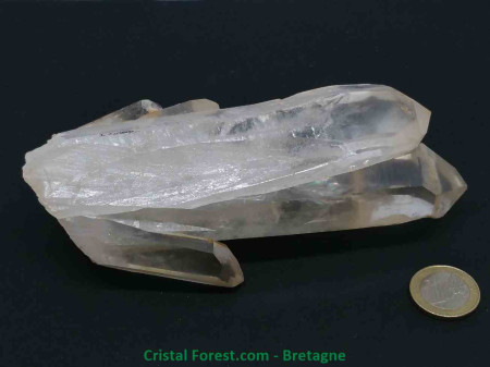 Cristal de Roche - Druse en Gerbe