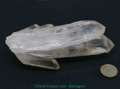 Cristal de Roche - Druse en Gerbe