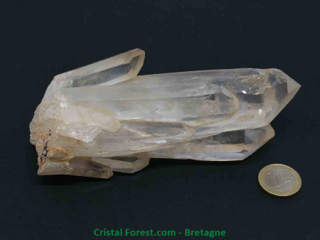 Cristal de Roche - Druse en Gerbe