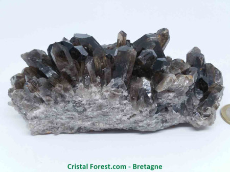 Quartz Fumé - Druse