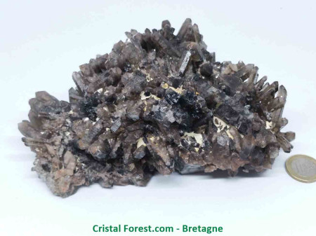 Quartz Fumé - Druse