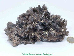 Quartz Fumé - Druse