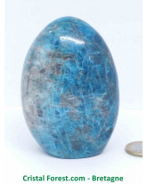 Apatite Bleue - Forme Libre