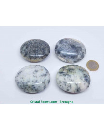 Agate Dentrite (dendritique) - Galets