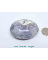 Agate Dentrite (dendritique) - Galets