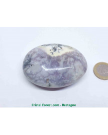 Agate Dentrite (dendritique) - Galets