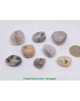 Opale mousse (Merlinite) 2,5-3cm