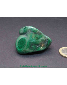 Malachite - Forme Libre - Extra