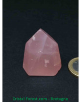 Quartz Rose - Pointes Polies (prismes)