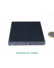 Shungite