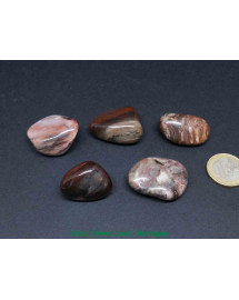 Bois fossilisé - Pierres roulées