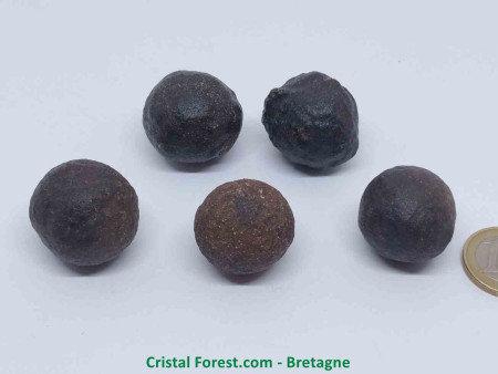 Moqui balls