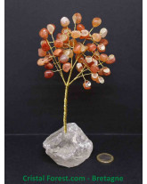 Cornaline et Cristal de Roche - Arbre de Vie