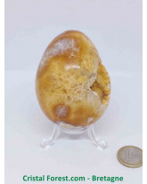 Agate - Géodes Polies (Oeuf)