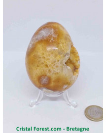 Agate - Géodes Polies (Oeuf)
