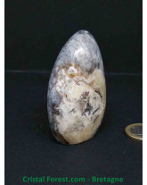 Agate Dentrite (dendritique) - Formes Libres