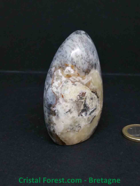 Agate Dentrite (dendritique) - Formes Libres