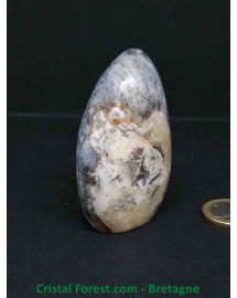 Agate Dentrite (dendritique) - Formes Libres