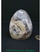 Agate Dentrite (dendritique) - Formes Libres