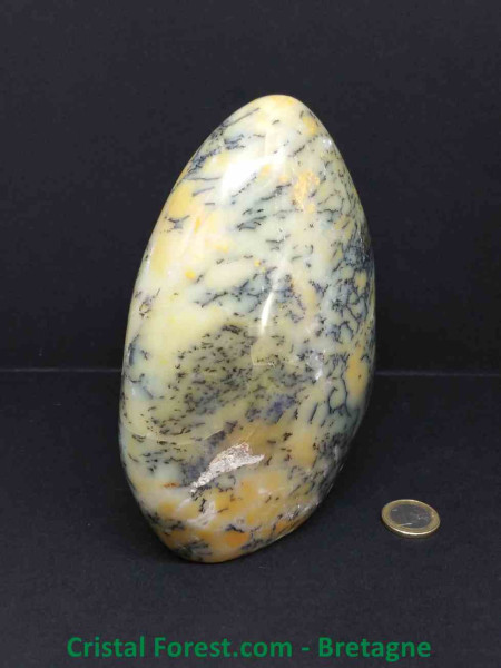 Agate Dentrite (dendritique) - Formes Libres