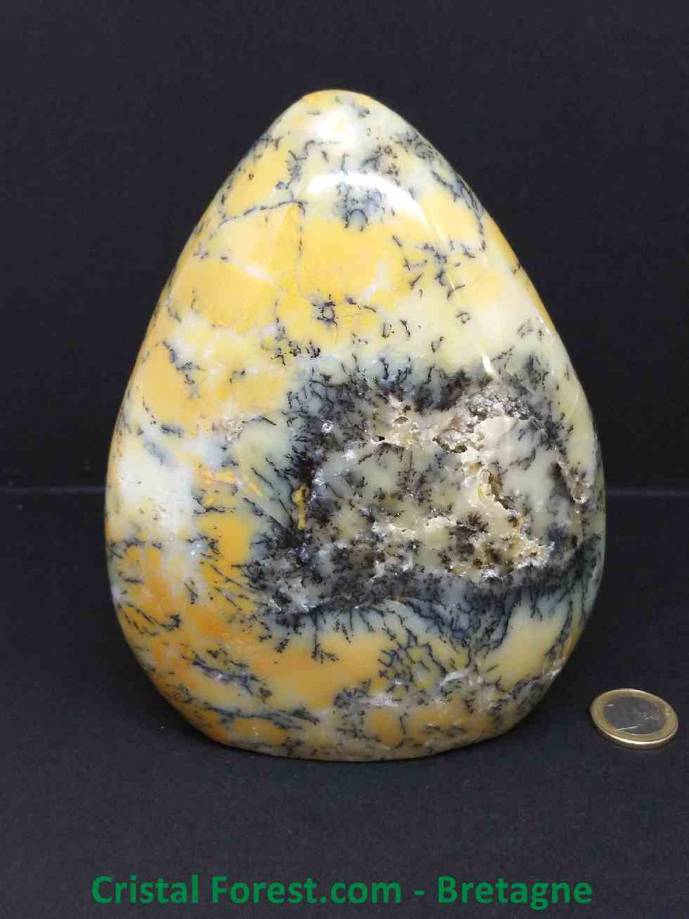 Agate Dentrite (dendritique) - Formes Libres